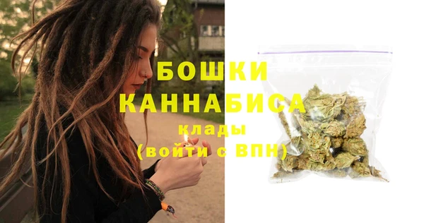 метадон Няндома