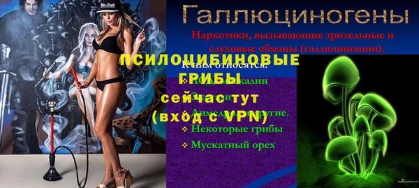 ешки Нягань