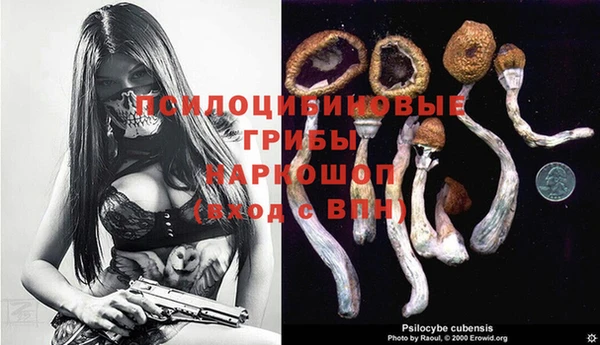 прущая мука Новозыбков