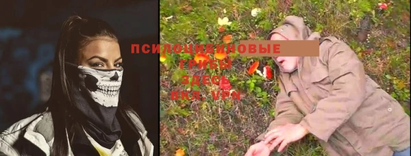 прущая мука Новозыбков