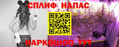 не бодяженный Гатчина