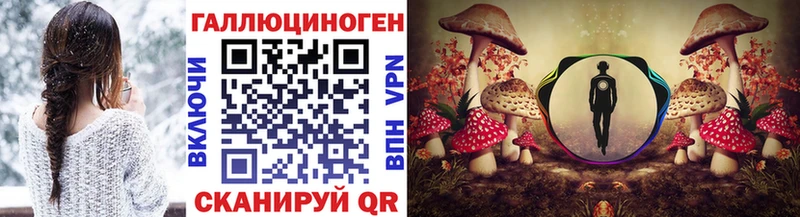 Псилоцибиновые грибы Psilocybe  Кинешма 