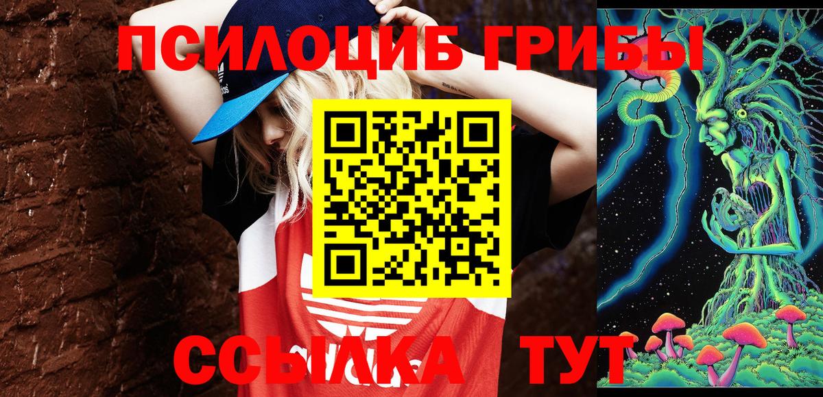 Псилоцибиновые грибы прущие грибы  Псилоцибиновые грибы мухоморы  Кинешма  Вход с VPN 