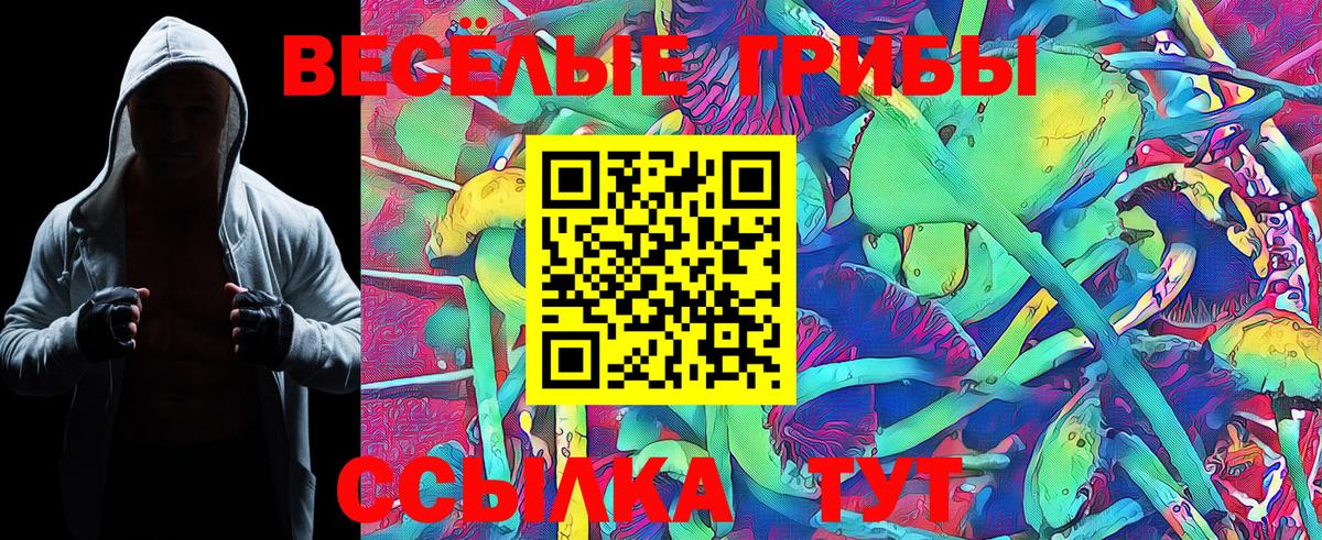 Галлюциногенные грибы Magic Shrooms  Псилоцибиновые грибы Cubensis  Кинешма  Вход с VPN 